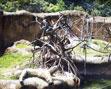 作品:木柵動物園-景觀雕塑1,作者:許雲翔 老師,分類:雕塑